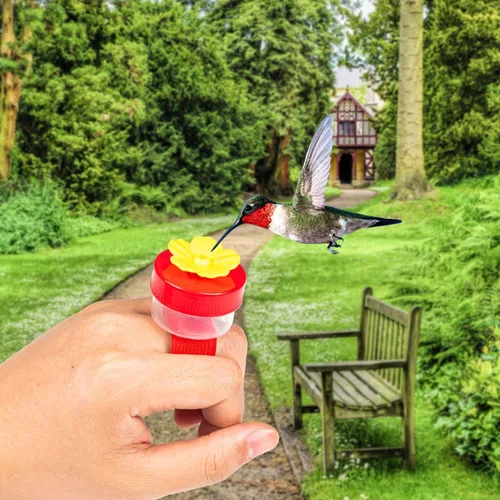 Vista 5 de Comederos de Anillo para Colibríes de Mano, 4 Piezas Mini Comedero de Mano para Colibríes con 4 Piezas Cepillo de Limpieza, Comederos de Pájaros