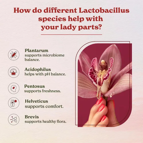 Vista 3 de Better Alt PROBIOTIC+ Cápsulas (7 mil millones de UFC) 7 cepas probióticas Ayuda con el equilibrio del pH Suplemento para mujeres Paquete
