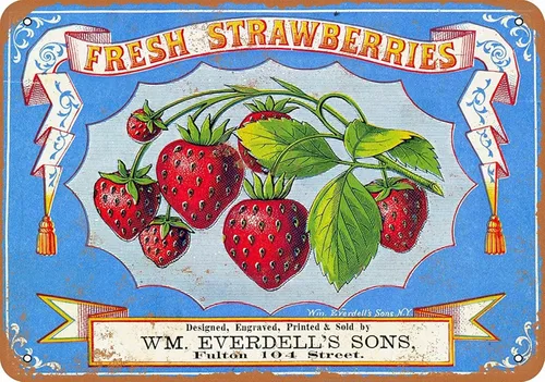 Letrero retro vintage de 8 x 12 pulgadas, 1868 fresas frescas, bayas, frutas, verduras, alimentos, dulce verano, decoración de pared, decoración del