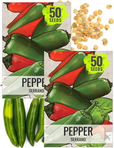 Vista 10 de Seed Needs, Semillas de pimiento picante Serrano, 60 semillas tradicionales para plantar Capsicum annuum, sin OMG y sin tratar, deliciosos chiles