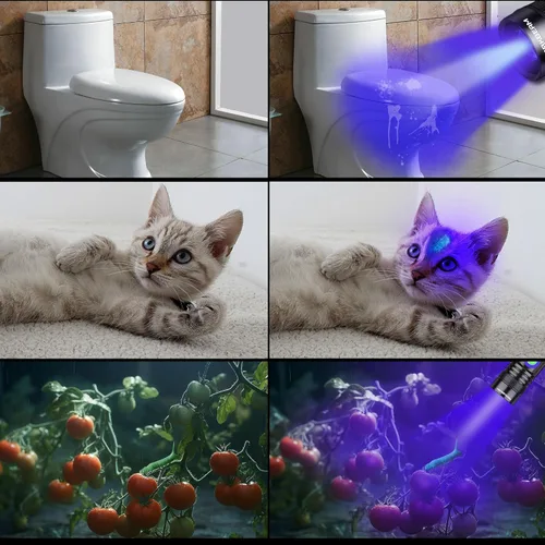 Vista 3 de DARKBEAM Linterna UV de 365 nm recargable de luz negra - Potentes mini linternas ultravioleta LED, lámpara portátil USB-C Woods - para detección