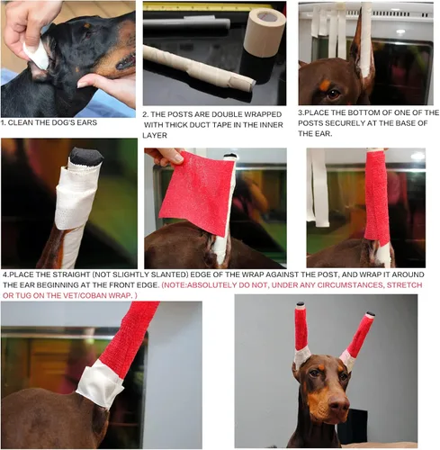 Vista 6 de Doberman Kit de publicación de orejas de perro, herramienta de soporte para orejas de perro, grifo de orejas de perro para Doberman Pinscher