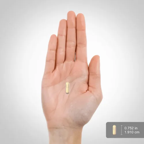 Vista 7 de Piping Rock Cápsulas Gotu Kola 180 unidades Extracto de hierbas concentrado Suplemento sin OMG, sin gluten