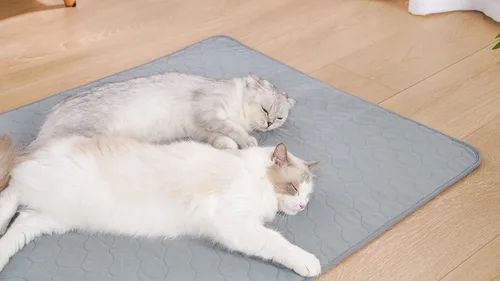 Vista 9 de BODISEINT Almohadillas lavables para orina de perro, acolchadas y reutilizables para perros, almohadillas de parto para cama de perro, alfombrillas