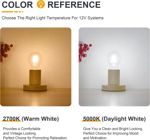 Vista 7 de Paquete de 2 bombillas LED de 12 voltios A19 de bajo voltaje Edison de 4 W 400 lm E26 2700 K blanco cálido, 40 vatios equivalente a incandescente RV