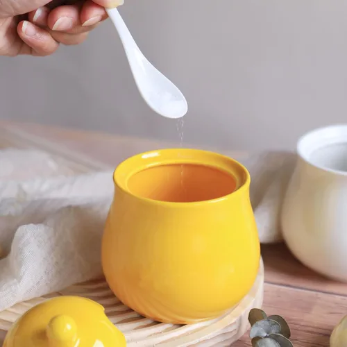 Vista 8 de FUYU Tarro de cerámica para especias con tapa y cuchara, caja de condimentos para condimentos