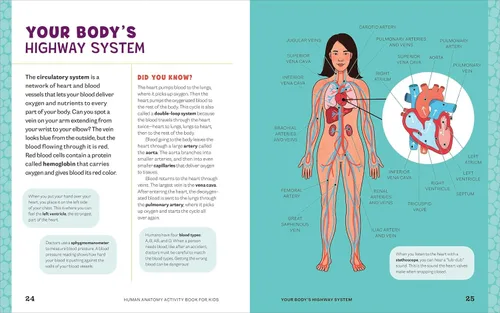 Vista 7 de Human Anatomy Activity Book for Kids Hands-on Learning for Grades 4-6