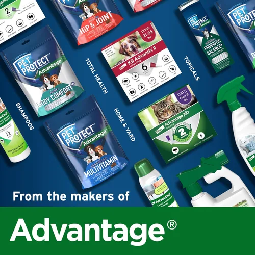 Vista 9 de Pet Protect Suplemento de salud digestiva con probióticos para perros, lactoquilo formulado por veterinarios, masticables suaves con sabor a pollo