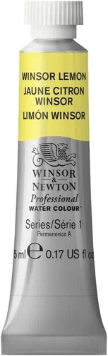 Vista 211 de Winsor & Newton - Pintura para acuarela profesional