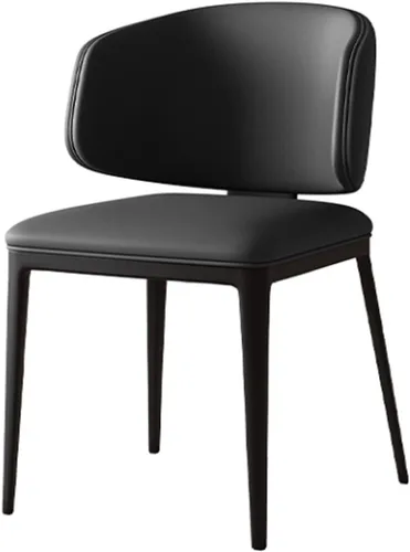 Dining Room Chairs, Kitchen Chairs with Leather, Living Room Leisure Chair, with Sturdy Metal Leg, Upholstered Dining seat for Guest Room
