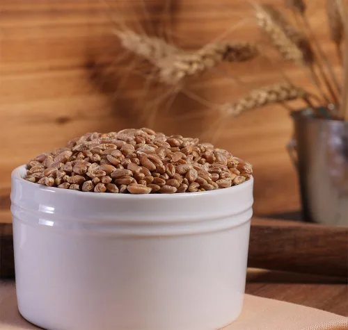 Vista 3 de Bayas orgánicas de trigo rojo duro - 3 libras