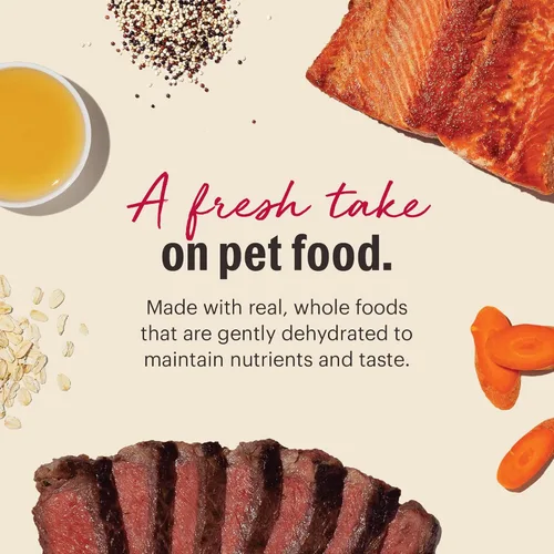 Vista 5 de The Honest Kitchen Human Grade Wholemade Alimento deshidratado para perros, alimento integral para perros, carne de res y salmón, 4 libras