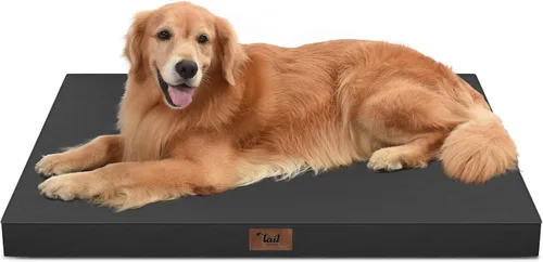 Vista 55 de Cama para perros y gatos pequeños, impermeable, para jaula de huevos, espuma ortopédica con funda Oxford lavable y extraíble, color verde Amy