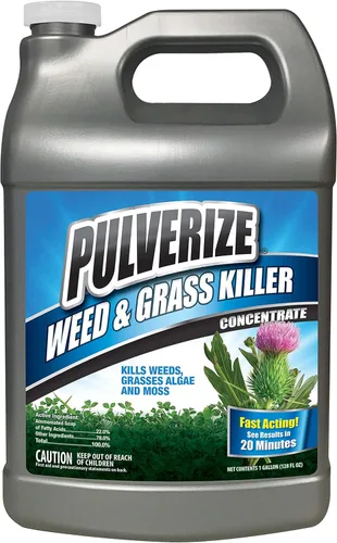 Pulverize Eliminador de malezas y hierba, totalmente natural, de acción rápida, no mancha, seguro para personas y mascotas, herbicida para musgo,