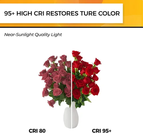 Vista 4 de Hizashi Edison Bombilla LED de 60 W, 2700 K regulables con base E26, bombillas ST19 vintage blanco cálido suave, 95+CRI, certificación UL, 700