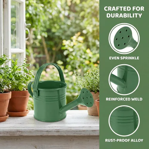 Vista 4 de DOITOOL 5 macetas de agua de jardinería: mini latas de riego de hierro (estilo mixto)