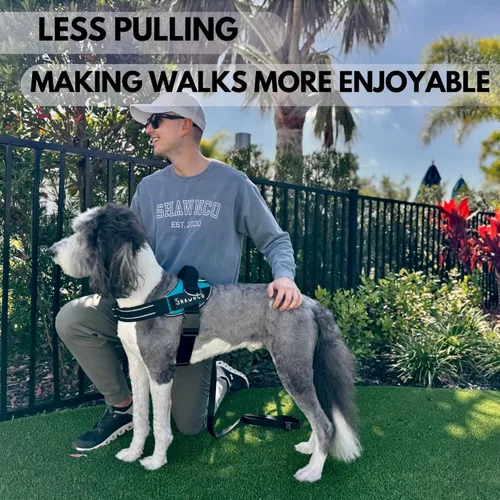 Vista 5 de ShawnCo Essential Pro - Arnés para perro, chaleco sin tirones para mascotas con 3 clips para correa y parches laterales removibles y reflectantes