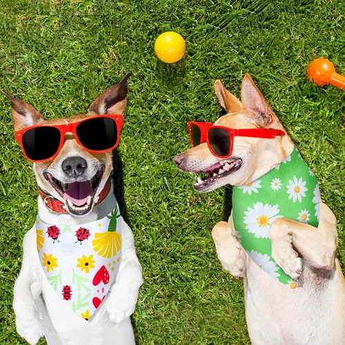 Vista 7 de Weewooday 8 bandanas para perro para verano, estampado de flores, baberos triangulares, bufanda, pañuelo, accesorios para perros, gatos, mascotas