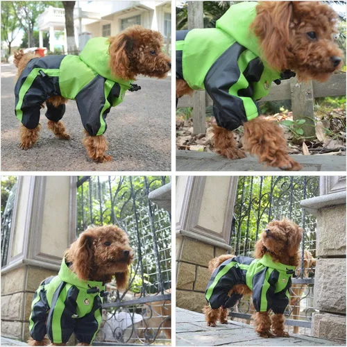 Vista 4 de Ropa para mascotas, abrigo impermeable de nailon para mascotas, chaqueta de lluvia adorable con capucha perfecta para razas de perros pequeños, Verde