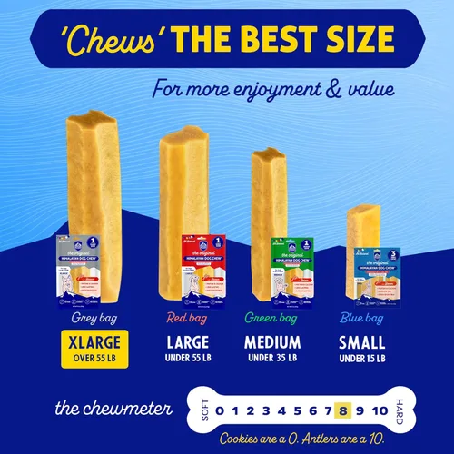 Vista 5 de Himalayan Dog Chew - Masticables de queso de yak para perros - 100% naturales, sin gluten, lactosa o cereales, ricos en proteínas, con trocitos