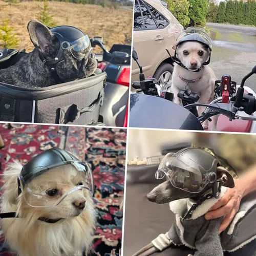 Vista 6 de Enjoying Casco para perro con lente transparente y agujeros para las orejas, casco de motocicleta para mascotas, sombreros de perro para perros