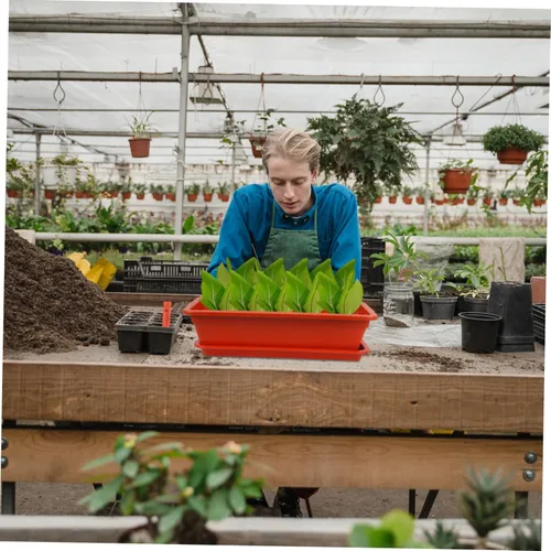 Vista 7 de Yardwe Contenedor de planta suculenta Rectángulo de plástico Maceta de vegetales Caja con drenaje Decoración de jardín