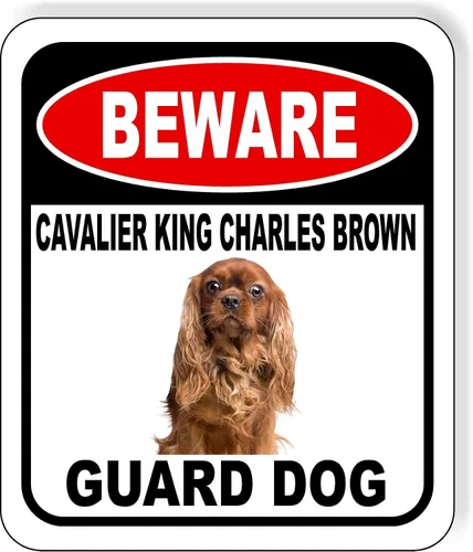 Vista 48 de BEWARE BASSETT HOUND GUARD DOG - Letrero compuesto de aluminio para exteriores, 8.5 x 10 pulgadas