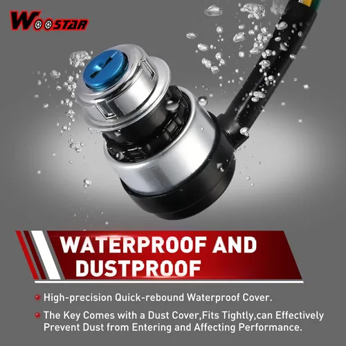 Vista 5 de WOOSTAR Interruptor de llave de encendido de 5 cables para 50cc 70cc 90cc 110cc 125cc 150cc 200cc 250cc dune Buggy Go Kart ATV 4 Wheeler Quad
