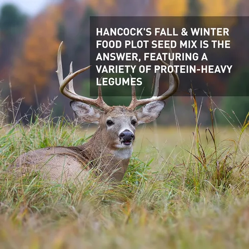 Vista 3 de Hancock - Semillas de parcela de alimentos de otoño e invierno para ciervos y caza, alta proteína, mezcla de germinación rápida, bolsa de 40 libras