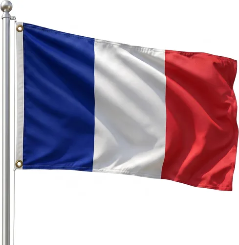 Vista 119 de DMSE - Bandera nacional beninesa beninesa de la República de África Occidental, 2 x 3 pies, 100 % poliéster, 100 % poliéster, resistente a los rayos