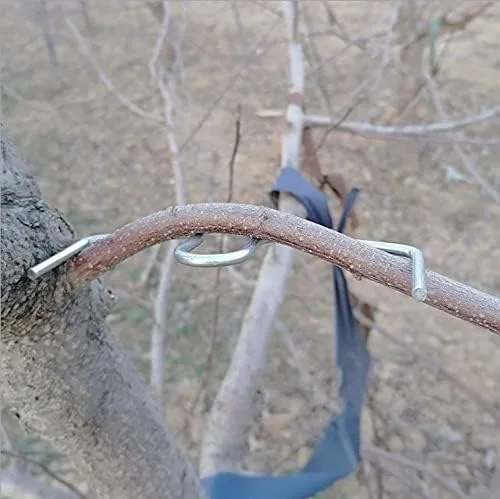 Vista 4 de LEILIN Extractor de ramas de árboles frutales Máquina de atado Herramientas agrícolas Ciruelo Árbol de ángulo abierto Herramienta de flexión