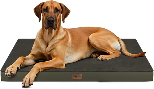 Vista 88 de Cama para perros y gatos pequeños, impermeable, para jaula de huevos, espuma ortopédica con funda Oxford lavable y extraíble, color verde Amy