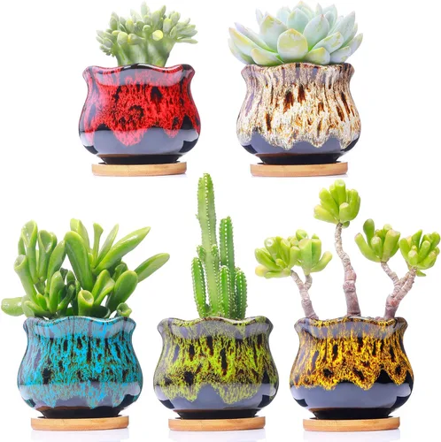 Vista 9 de Lindas macetas de cerámica para suculentas, maceta con drenaje y platillo adjunto, juego de 5 plantas no incluidas (hornillo)