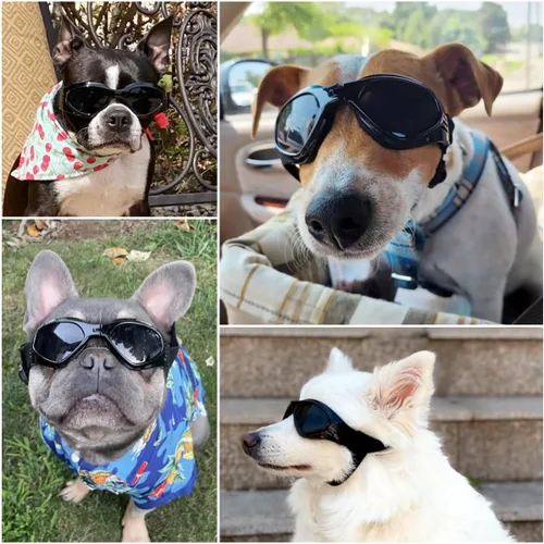 Vista 2 de NAMSAN Gafas de sol para perros pequeños a medianos, lentes de sol para perros con protección UV para perros medianos, ciclismo al aire libre, Negro