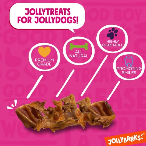 Vista 3 de Orejas de cerdo para cachorros Tiras de cerdo naturales de un solo ingrediente golosinas para perros Alimentados con pasto, masticables