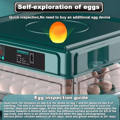 Vista 5 de Incubadora de huevos 48/56/64/98/120/128, incubadora de pollo completamente automática con girador automático de huevos y adición de agua