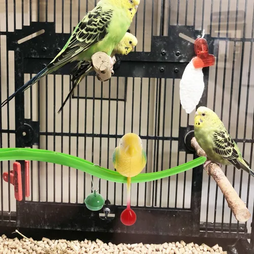 Vista 2 de POPETPOP Juguete de perca de pájaro oscilante, juguete de plástico para jaula de pájaro, soporte de simulación de jaula de pájaro, juguete de perca