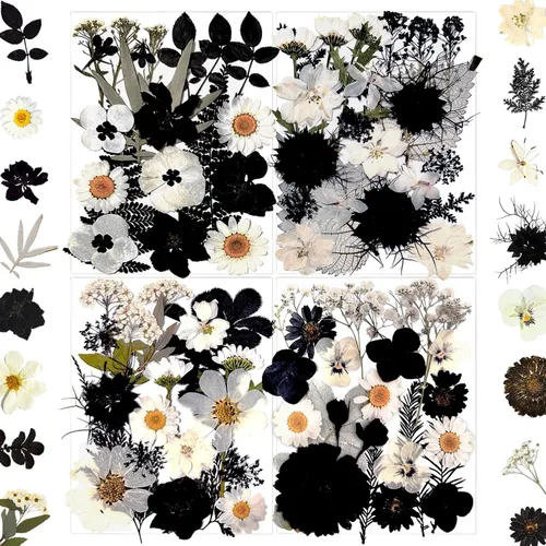 90 piezas de flores secas prensadas negras para moldes de resina, hojas florales secas a granel naturales reales para manualidades de arte, joyas