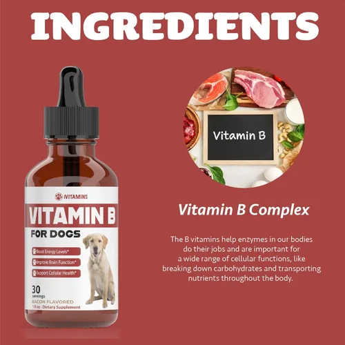 Vista 7 de Vitamina B para perros Complejo de vitamina B para perros Vitamina B12 para perros Vitaminas para perros Vitaminas B12 para perros