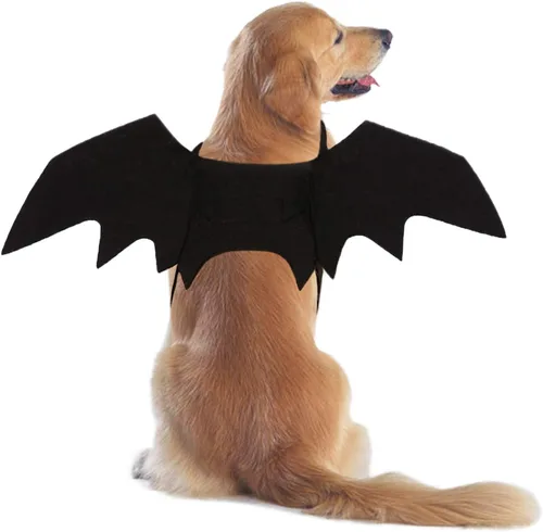 Vista 11 de Disfraz Rypet de murciélago, disfraz de Halloween para mascotas, alas de murciélago para perro