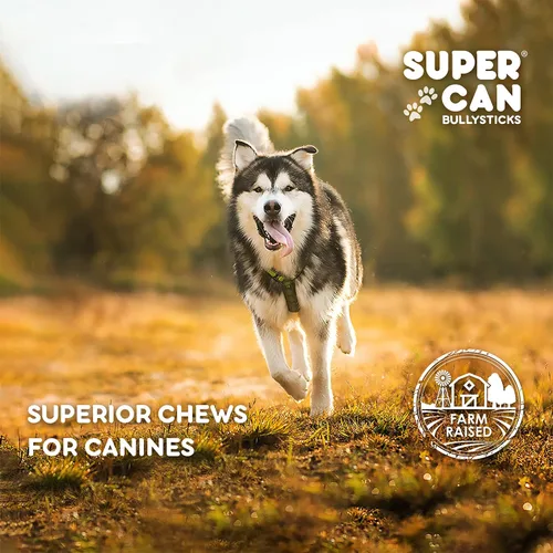 Vista 8 de SUPER CAN BULLYSTICKS Supercan - Palitos de gaviota de res (trenzados de 12 pulgadas (paquete de 4)