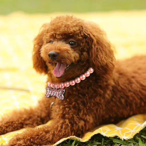 Vista 5 de Frienda Collar de perlas para mascotas, collar de perlas de cristal de diamante, collar de perlas con diamantes de imitación brillantes, juego