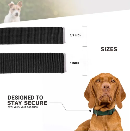Vista 4 de Collar de perro – Collares ajustables para mascotas, 1 pulgada de ancho, grande, leopardo