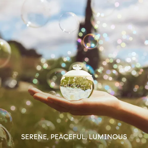 Vista 4 de Cacharel Noa, Eau de Toilette for Women, Floral, Musky With Notes of Kinkan & White Musk