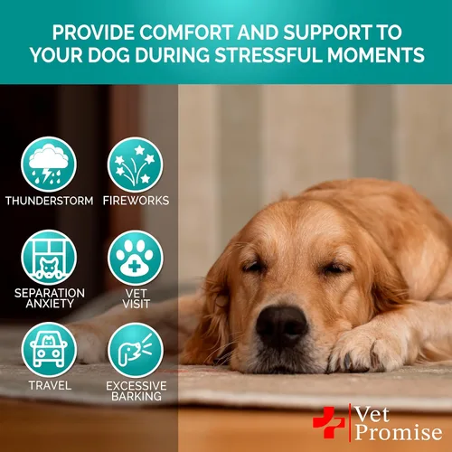 Vista 5 de Masticables Calmantes Avanzados para Perros - Masticables Calmantes de Cáñamo para Perros - Alivio de la Ansiedad con Melatonina - Estrés y Ansiedad