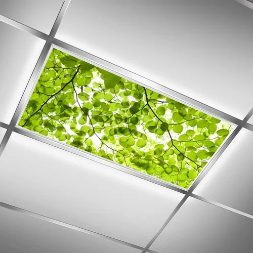 Vista 8 de 2 cubiertas de luz fluorescente para luces de techo, cubiertas magnéticas de luz de hojas de primavera con 10 imanes, filtros de luz fluorescentes