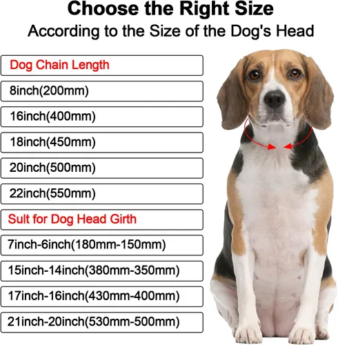 Vista 5 de Cadena de metal con diamantes para perros con hebilla segura, collares para mascotas para perros grandes y medianos