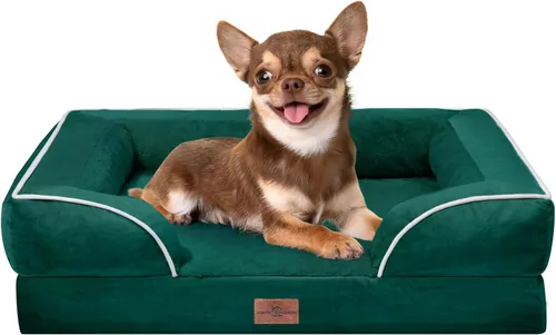 Vista 262 de Comfort Expression - Cama ortopédica para perros pequeños, 20 x 14 pulgadas, cama impermeable y de apoyo de espuma con cojines removibles, sofá