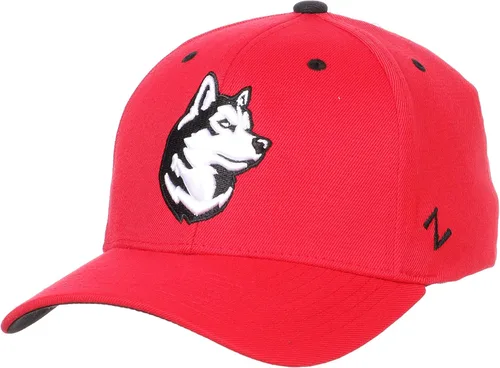 Vista 46 de ZHATS - Sombrero ajustado elástico para hombre de la NCAA, color del