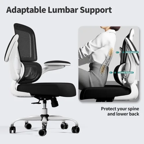 Vista 8 de TRALT Silla de oficina – Silla de escritorio ergonómica con soporte lumbar ajustable, silla de computadora de malla, sillas ejecutivas para oficina
